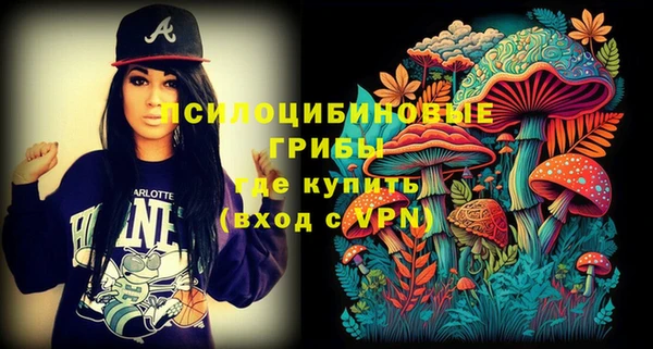 шишки Михайлов