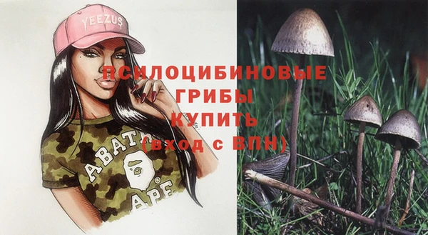 ПСИЛОЦИБИНОВЫЕ ГРИБЫ Билибино