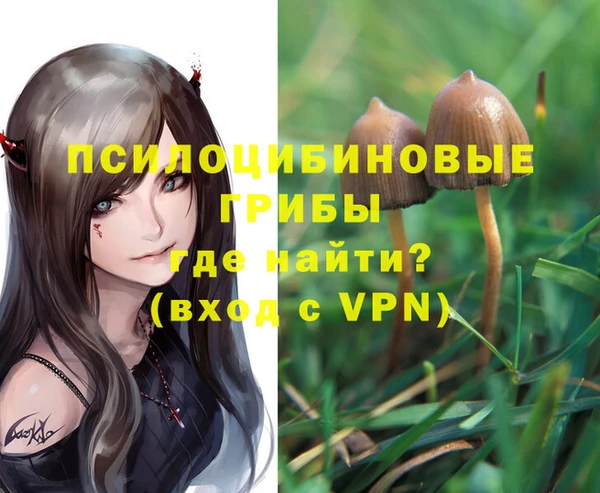 шишки Михайлов