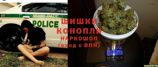 PSILOCYBIN Бикин