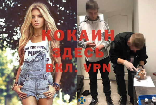 дживик Михайловск