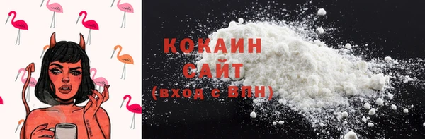 шишки Михайлов
