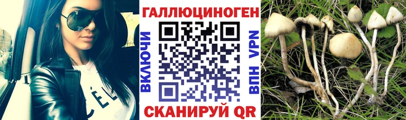 Галлюциногенные грибы ЛСД  где можно купить наркотик  Азов 