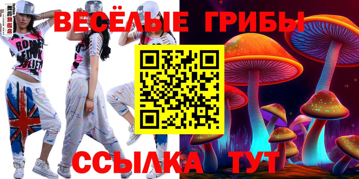 Псилоцибиновые грибы Psilocybine cubensis Азов