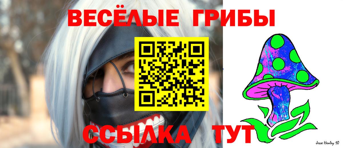 Азов  Галлюциногенные грибы Psilocybe  купить  цена  Вход с VPN 