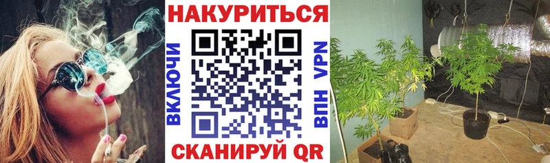 Конопля Ganja  Азов 